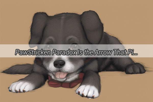 PawStricken Paradox Is the Arrow That Pierced Mans Dog Legally Justified